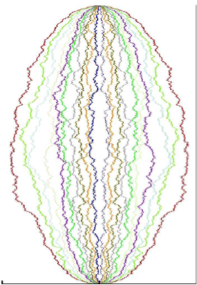 Non-colliding Brownian bridges